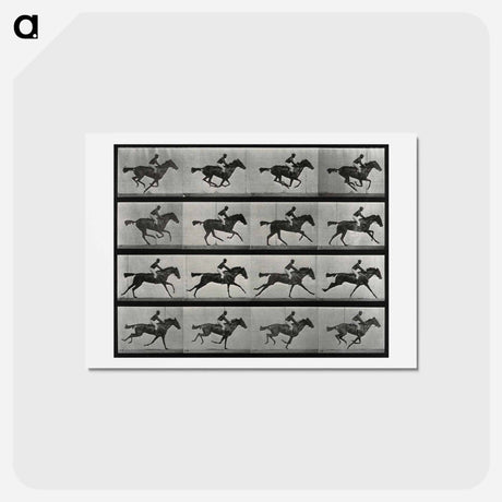 アートポストカード-Galloping Horse and Rider
 - エドワード マイブリッジ Postcard.