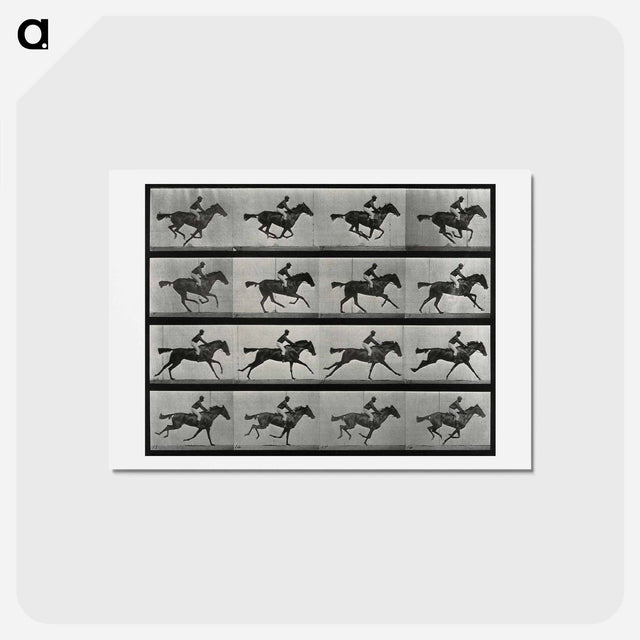アートポストカード-Galloping Horse and Rider
 - エドワード マイブリッジ Postcard.