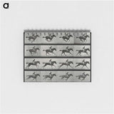 2-99_Eadweard-Muybridge_memo
