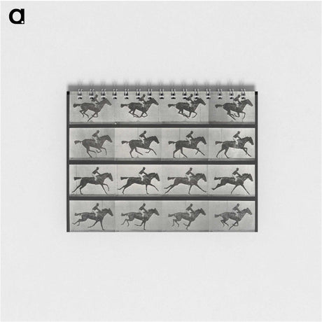 2-99_Eadweard-Muybridge_memo