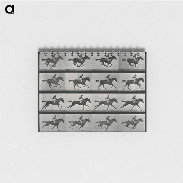 2-99_Eadweard-Muybridge_memo
