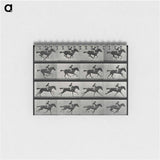 アートメモ帳-Galloping Horse and Rider
 - エドワード マイブリッジ Memo.