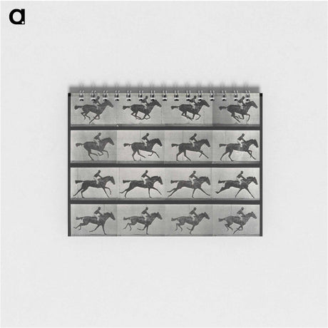 アートメモ帳-Galloping Horse and Rider
 - エドワード マイブリッジ Memo.
