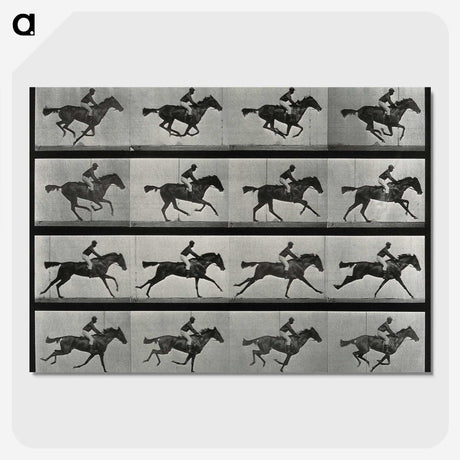 2-99_Eadweard-Muybridge_picture-crop