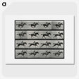 2-99_Eadweard-Muybridge_picture