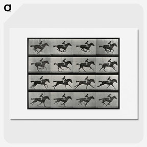 2-99_Eadweard-Muybridge_picture