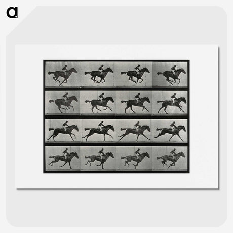2-99_Eadweard-Muybridge_picture