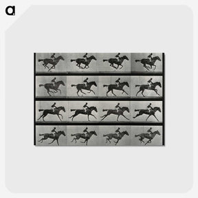2-99_Eadweard-Muybridge_postcard