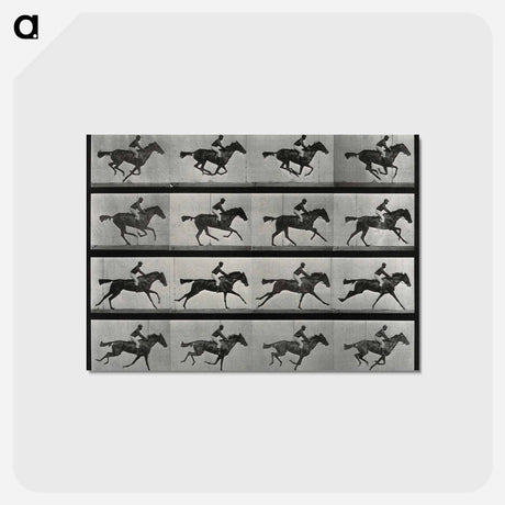 アートポストカード-Galloping Horse and Rider
 - エドワード マイブリッジ Postcard.