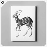 Vintage antelope wildlife illustration - エルンスト ヘッケル Canvas.