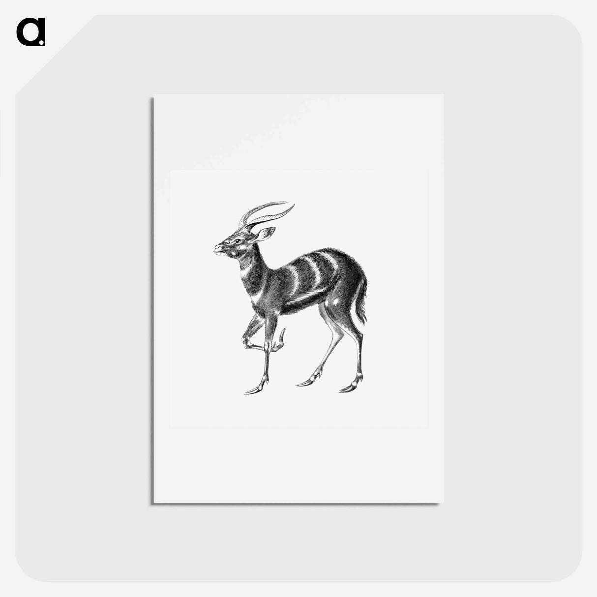 アートポストカード-Vintage antelope wildlife illustration - エルンスト ヘッケル Postcard.