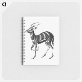 アートメモ帳-Vintage antelope wildlife illustration - エルンスト ヘッケル Memo.