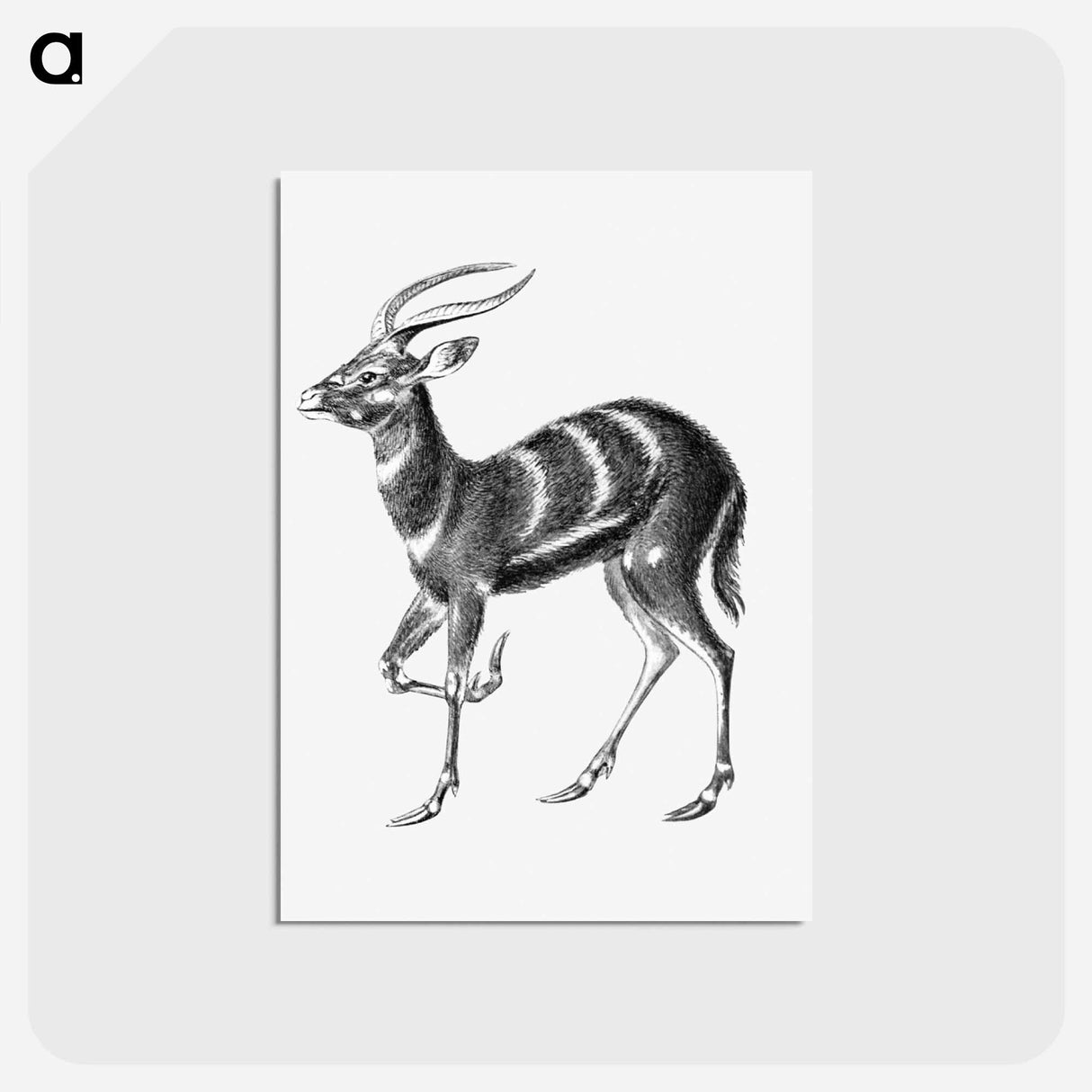 アートポストカード-Vintage antelope wildlife illustration - エルンスト ヘッケル Postcard.