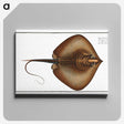 2-99_Ichtyologie-ou-Histoire-naturelle_canvas