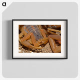 2-99_Insects-Unlocked-Project_blk