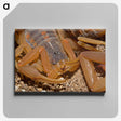 2-99_Insects-Unlocked-Project_canvas