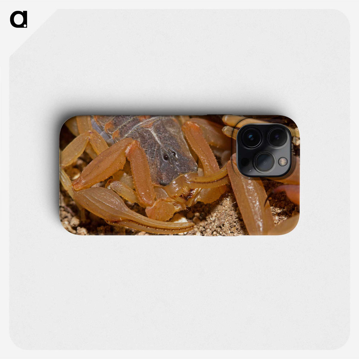 2-99_Insects-Unlocked-Project_phone