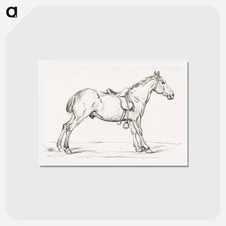 アートポストカード-Saddled horse - ジャン ベルナール Postcard.