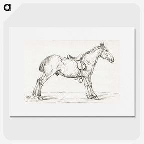 2-99_Jean-Bernard_picture