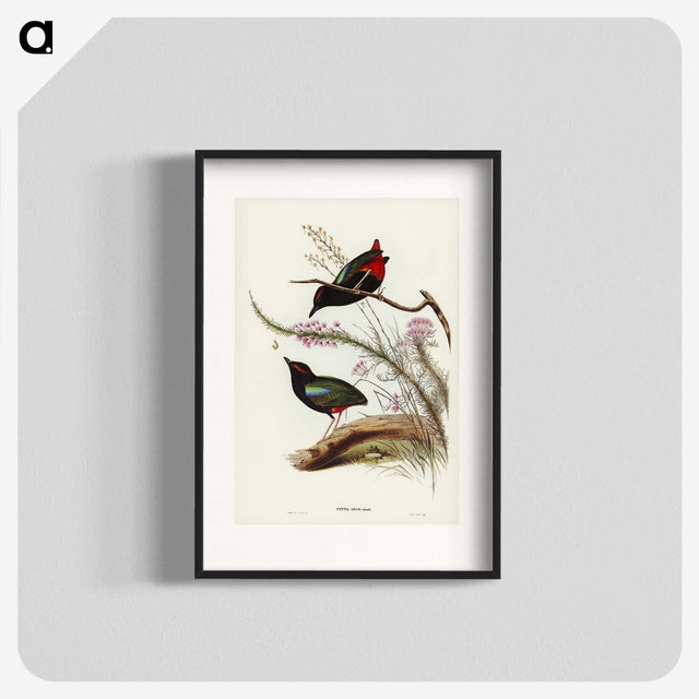 2-99_John-Gould_blk