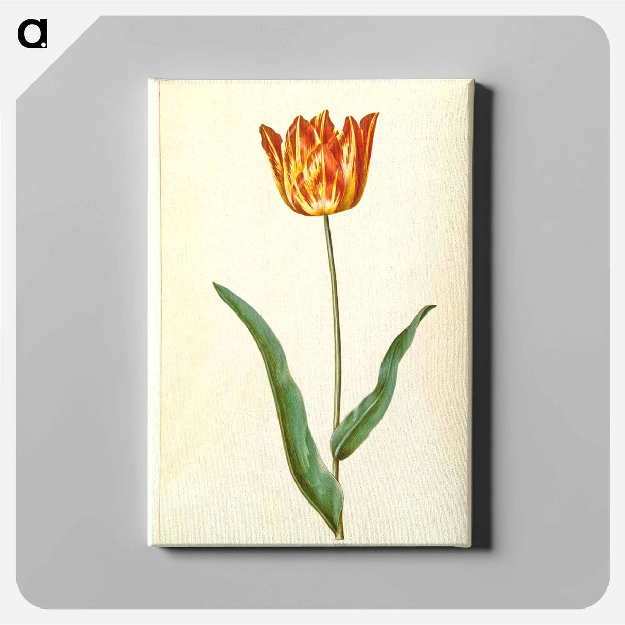 アートパネル-Tulipa Gesneriana
 - マリア ジビーラ メーリアン Canvas.