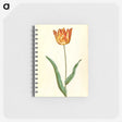 2-99_Maria-Sibylla-Merian_memo