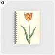 アートメモ帳-Tulipa Gesneriana
 - マリア ジビーラ メーリアン Memo.