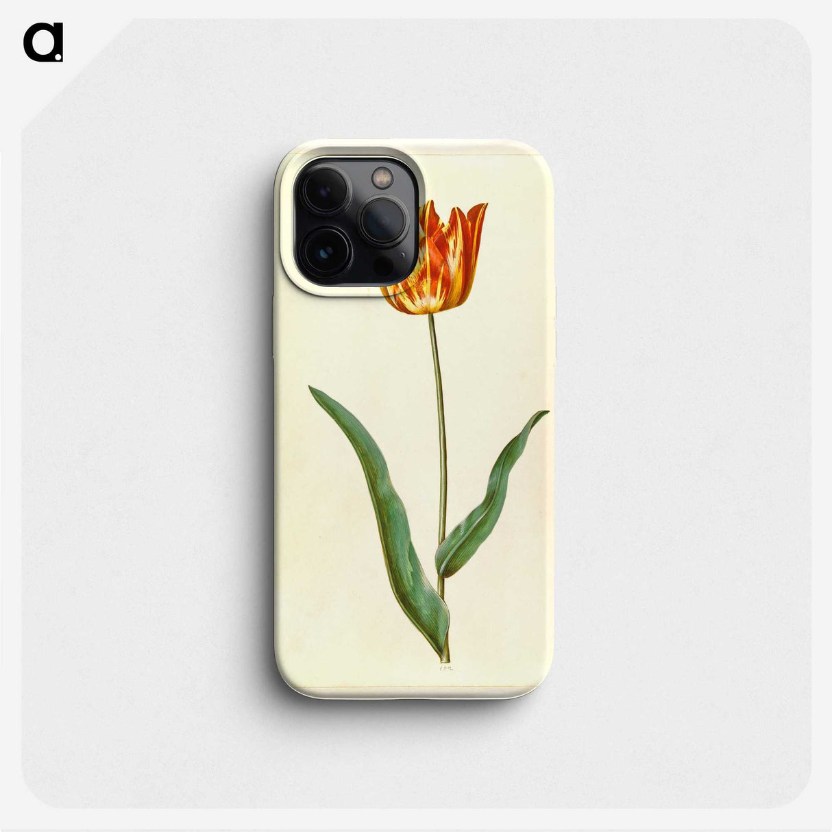 2-99_Maria-Sibylla-Merian_phone