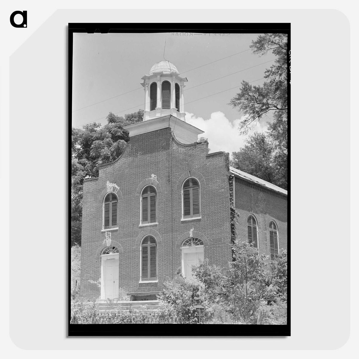 2-99_Marion-Post-Wolcott_picture-crop