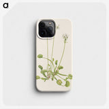2-99_Mary-Vaux-Walcott_phone