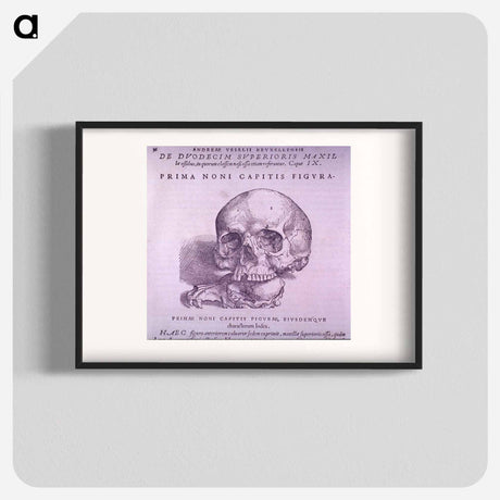 アートポスター-Cranial Anatomy, Frontal View
 - 国立医学図書館 Poster.