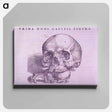 アートパネル-Cranial Anatomy, Frontal View
 - 国立医学図書館 Canvas.