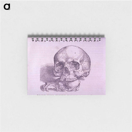 アートメモ帳-Cranial Anatomy, Frontal View
 - 国立医学図書館 Memo.