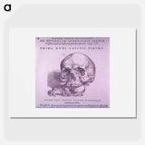 アートポスター-Cranial Anatomy, Frontal View
 - 国立医学図書館 Poster.