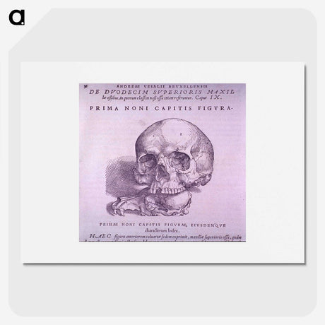 2-99_National-Library-of-Medicine_picture
