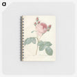 2-99_Pierre-Joseph-Redoute_memo