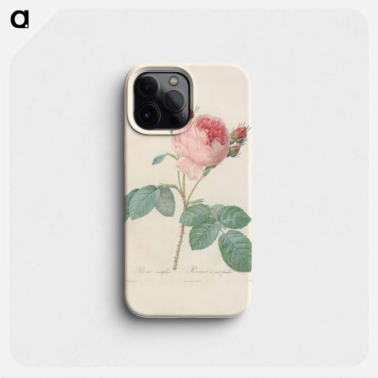 Rose illustration - ピエール ジョゼフ ルドゥーテ Phone Case.