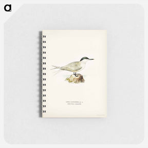 アートメモ帳-Sandwich Tern
 - スヴェンスカ フォグラル Memo.