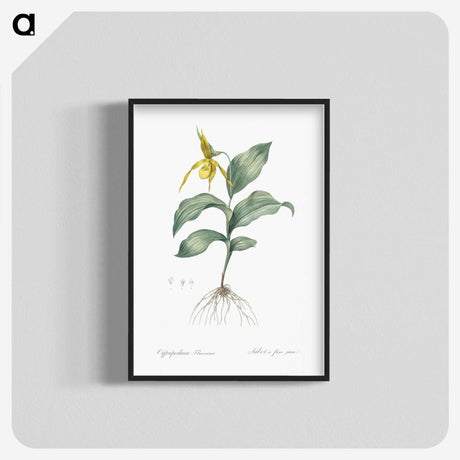 2-99_The-Lilies_blk-crop