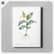 2-99_The-Lilies_canvas