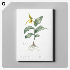2-99_The-Lilies_canvas
