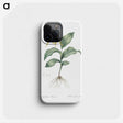 2-99_The-Lilies_phone