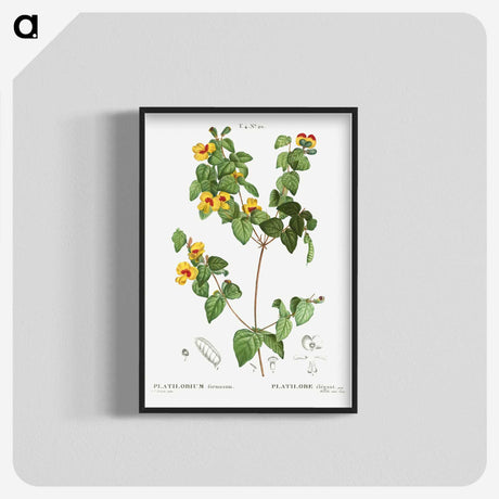 2-99_Treatise-on-Trees-and-Shrubs_blk-crop