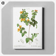 2-99_Treatise-on-Trees-and-Shrubs_canvas