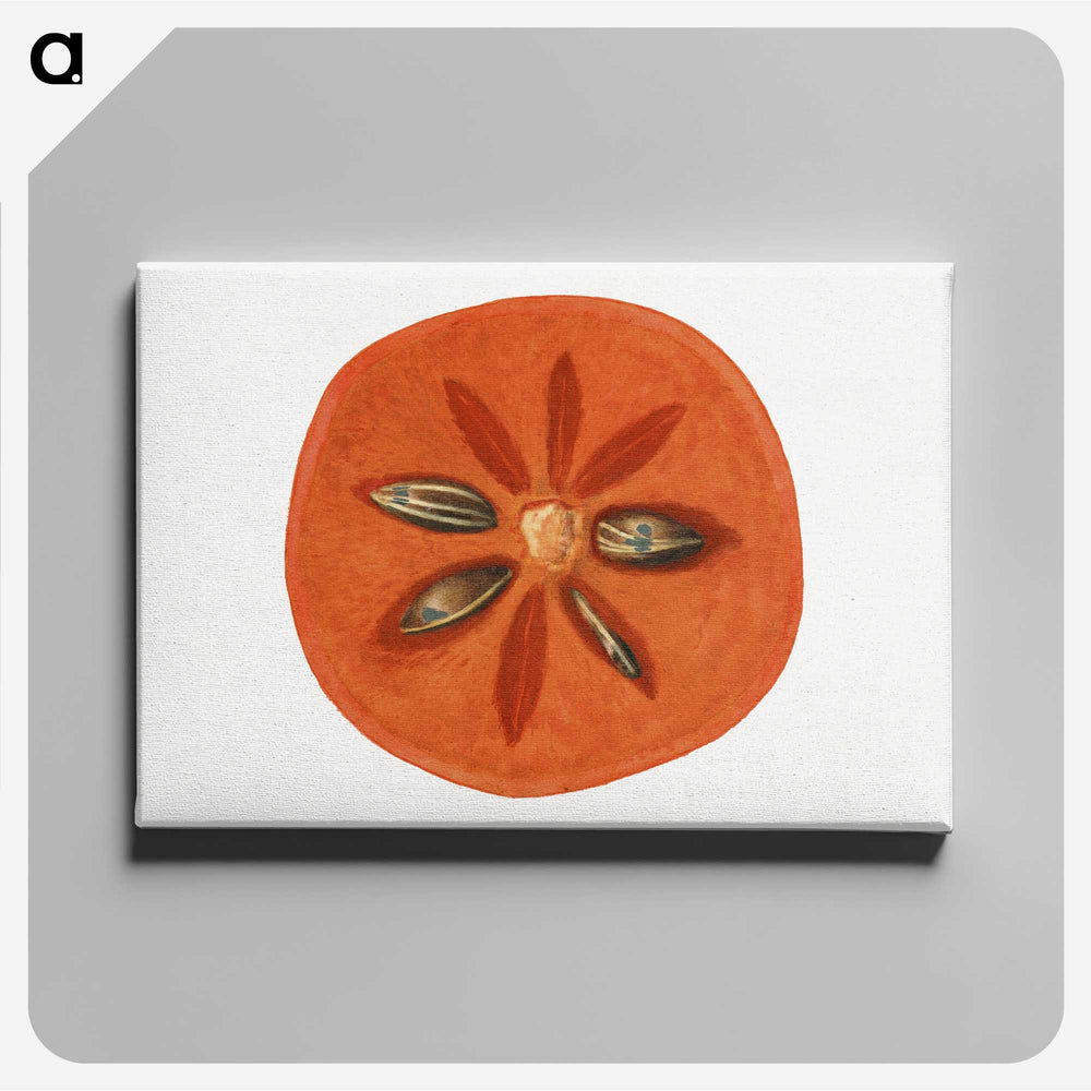 2-99_USDA-Watercolor-Fruit-Painting-Collection_canvas