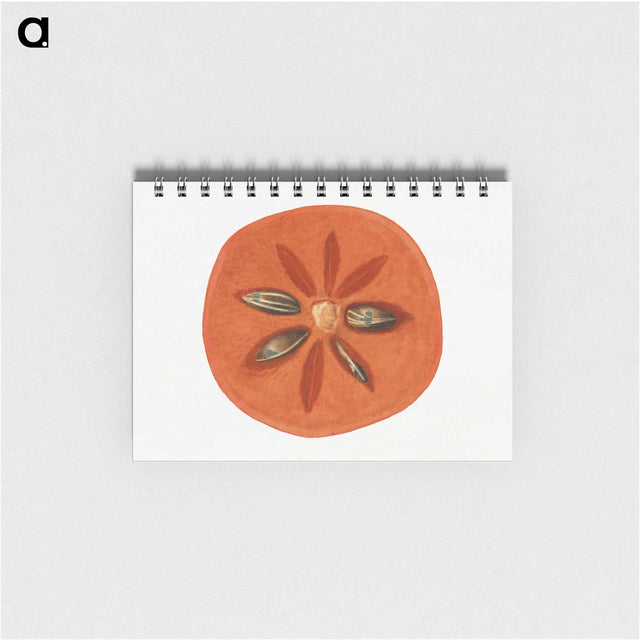 2-99_USDA-Watercolor-Fruit-Painting-Collection_memo
