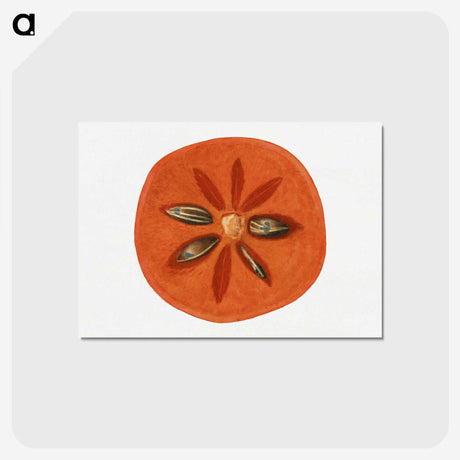 2-99_USDA-Watercolor-Fruit-Painting-Collection_postcard