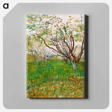 The Flowering Orchard - フィンセント ファン ゴッホ Canvas.