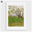 2-99_Vincent-van-Gogh_picture
