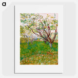 The Flowering Orchard - Vincent van Gogh Poster.